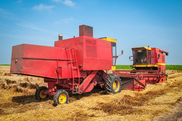 Combine harvesting wheat