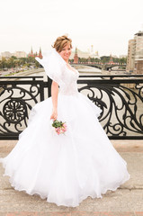 Fototapeta premium Bride on a bridge