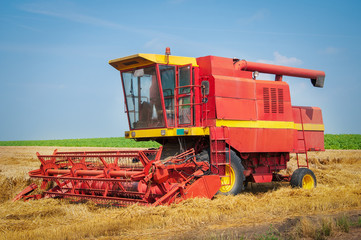 Fototapeta premium Combine harvesting wheat