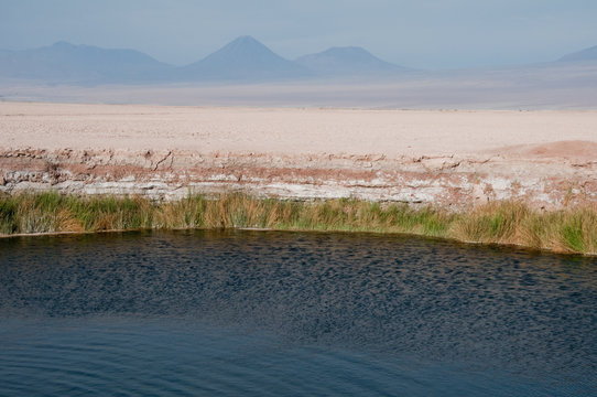 Lagoon of Eyes of the Salt Flat, Chile