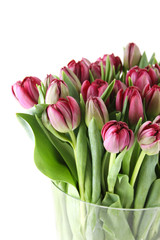 Tulips Bouquet