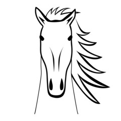 silhouette of a horse. vector