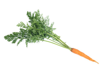 one young carrots with green leaves isolated on white background