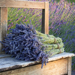Naklejka premium Bouquets on lavenders on a old bench