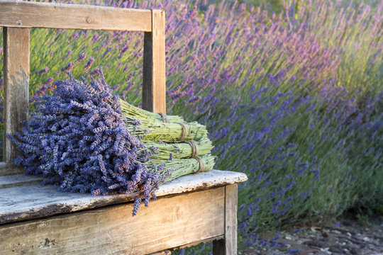 Fototapeta Bouquets on lavenders on a wooden old bench