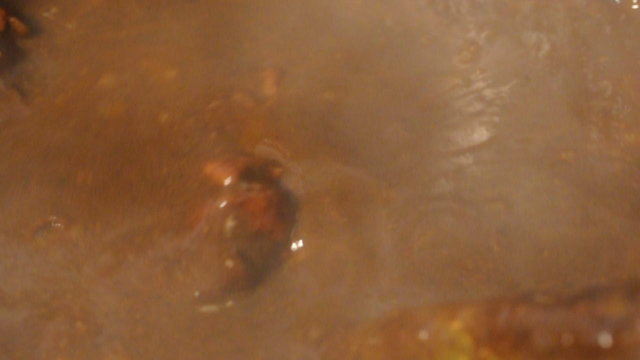 Chicken mole