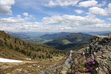 Frühling in Österreich