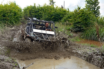 Bugs machine