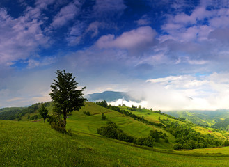 Morning landscape in the mountains. Carpathian, Ukraine, Europe.