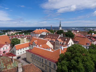 Fototapeta na wymiar Tallinn / Estland