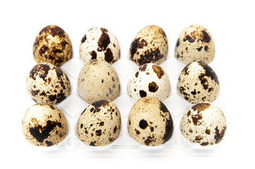 Obraz premium quail eggs