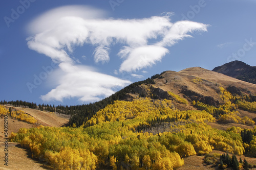 Paintbrush, Columbine, and Orange Sneezeweed, Sneffels Range, Colorado загрузить