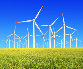 Rice farms Modern wind turbines