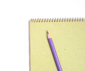 Pencil on green skecth book