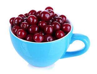 Sweet cherry in cup isolated on white