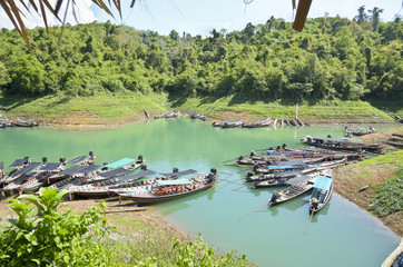Groups of long-tailed boat..