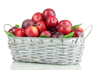 Ripe plums in basket isolated on white