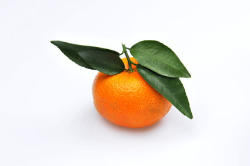 Orange and white on the background of leaves