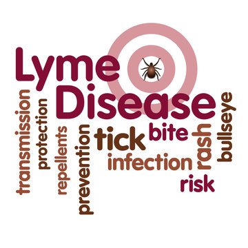 Lyme Disease Word Cloud, Tick, bulls eye rash, infection, risk