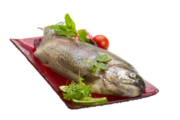 Fresh raw rainbow trout