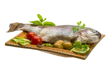 Fresh raw rainbow trout