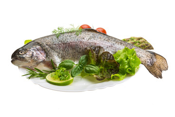 Fresh raw rainbow trout