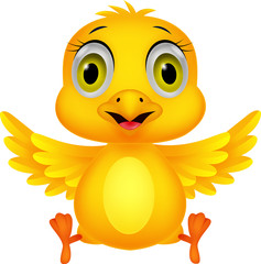 Cute baby chicken cartoon
