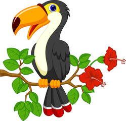 Naklejka premium Cute toucan bird cartoon