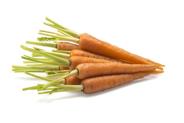 Fresh Carrots isolated on a White Background