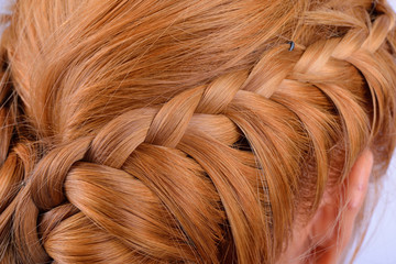 Rear view of a hairstyle