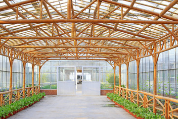 modern agricultural garden landscape