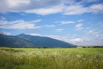 Fototapeta premium summer horizon