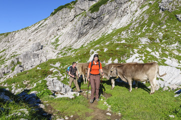 Bergtour im Sommer