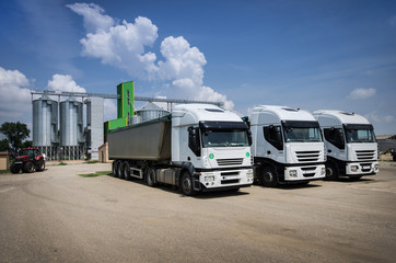trucks parked in front of grain silos - obrazy, fototapety, plakaty
