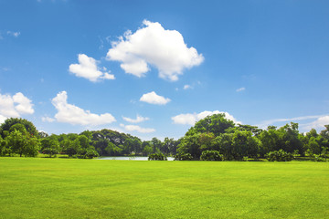 Naklejka premium Green park outdoor with blue sky cloud