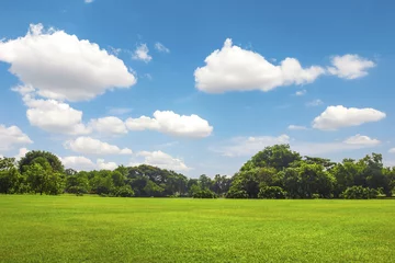 Fototapeten Green park outdoor with blue sky cloud © 29mokara