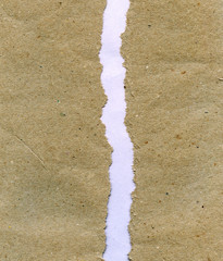 Torn paper