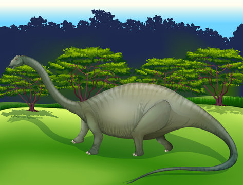 Diplodocus