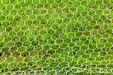 football  Net