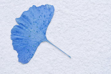 ginkoblatt blau