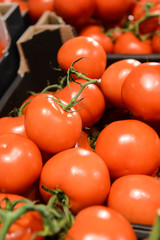 Tomaten im Supermarkt