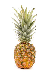 Fototapeta premium Fresh pineapple