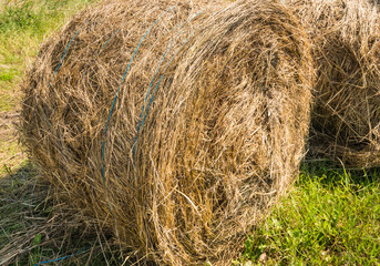 Hay bale tied together with blue rope
