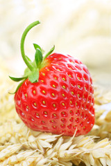 fresh strawberry