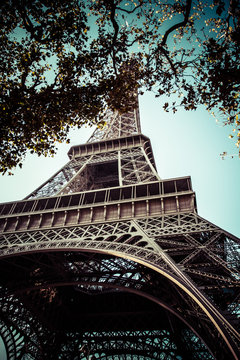 The Eiffel Tower, Paris