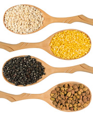 set of legumes in wooden spoons