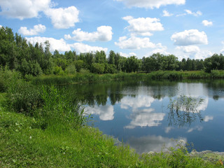 Summer landscape: pond in the park