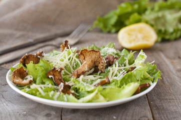 salad with mushrooms (chanterelles), parmesan, lettuce
