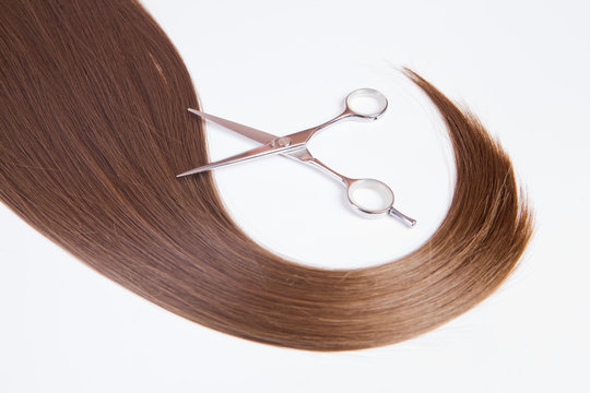 hairdressers scissors and lock of hair