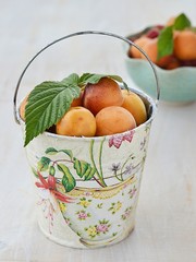 apricot fruits
